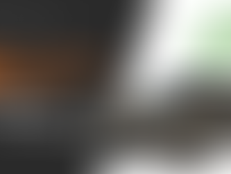 Laudo Cautelar: Importante, mas Apenas o Primeiro Passo para Comprar com Segurança