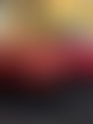 Especialista em Venda de Veículos: Conheça a P1 Autos, Referência em Curitiba