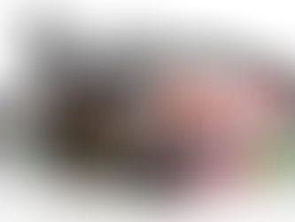 Desvendando os Segredos por Trás do Brilho Infalível: A História Fascinante da SONAX