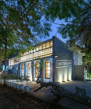 WB (20 of 20).jpg