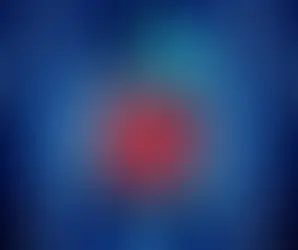 Rest & Digest - The Influence of the Digestive System on the Body as a Whole