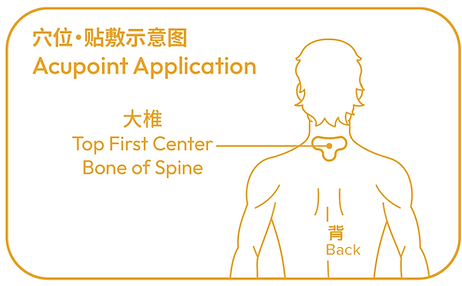 Pain Diagram.png