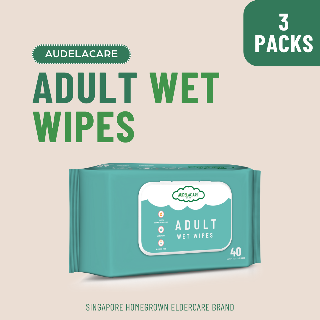 Adult Body Wet Wipes (3 Packs)