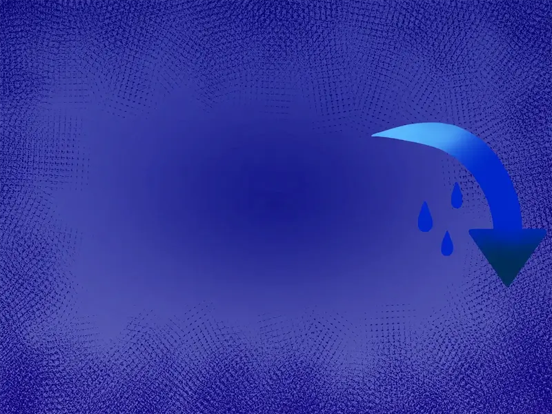 238509382_R.webp