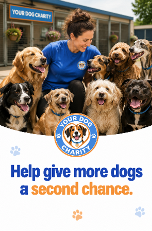 Your Dog Charity card small