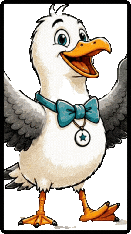 Singing Seagulls - about us