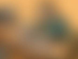 Isle of Wight Follies: Behind the Scenes - The build so far. 