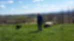 20170328_141331