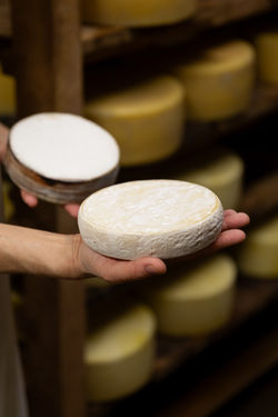 poutou lait p'tits béarnais