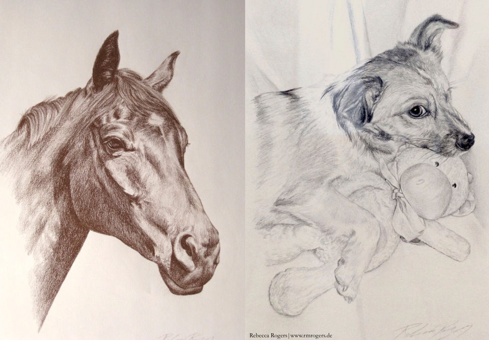 Pet Portraits.jpg