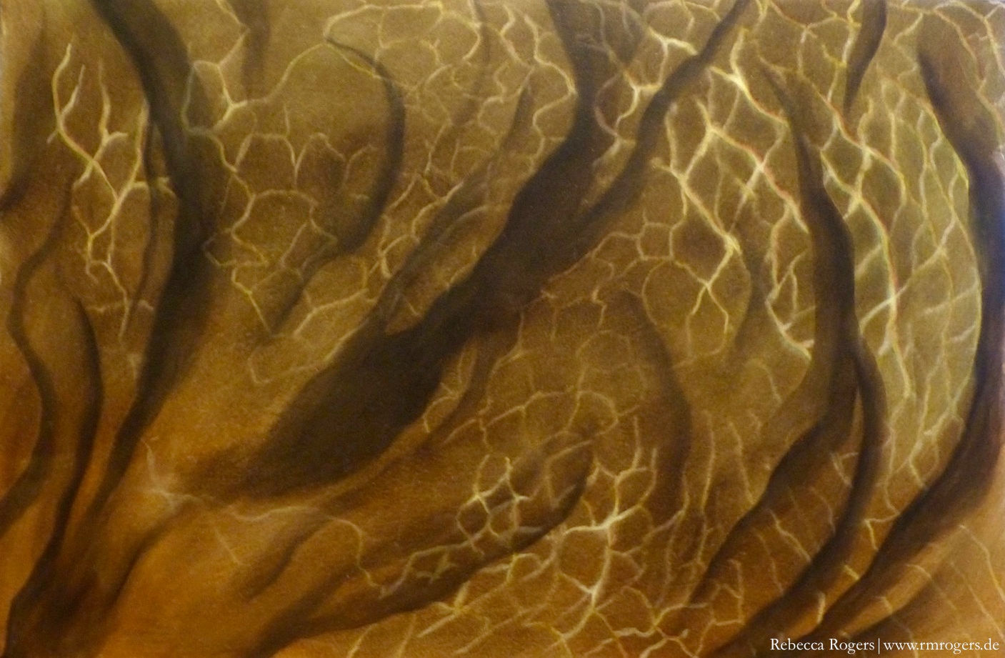 Water Study- Rocky Streambed.JPG