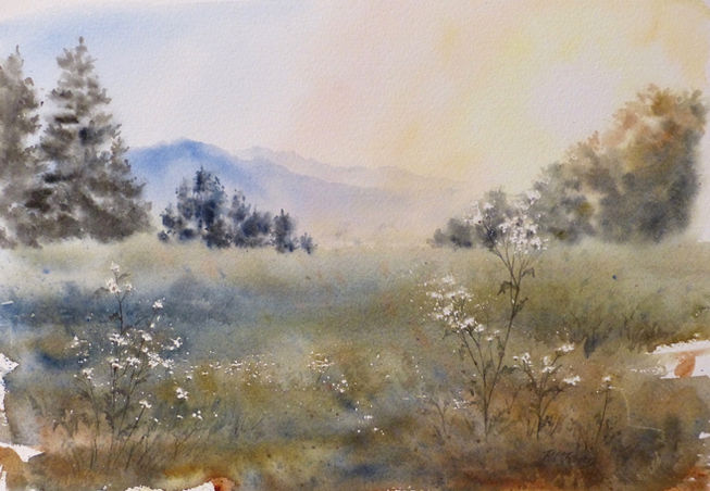 Sunset view over field