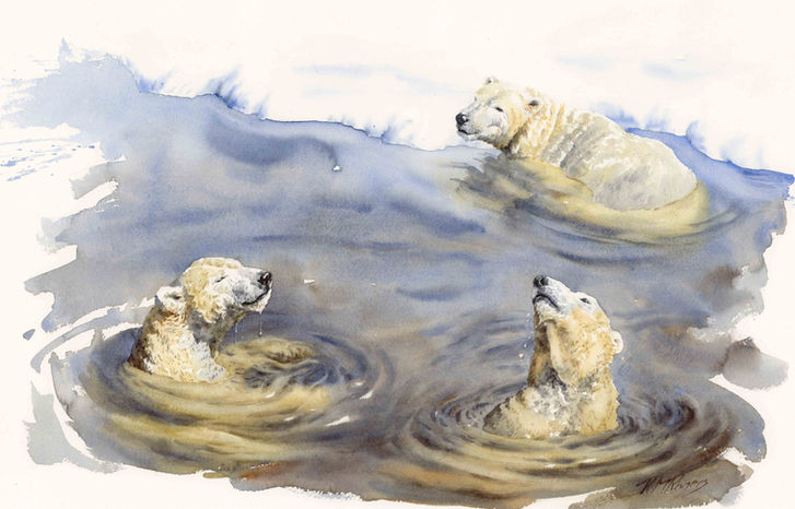 Polar bear trio