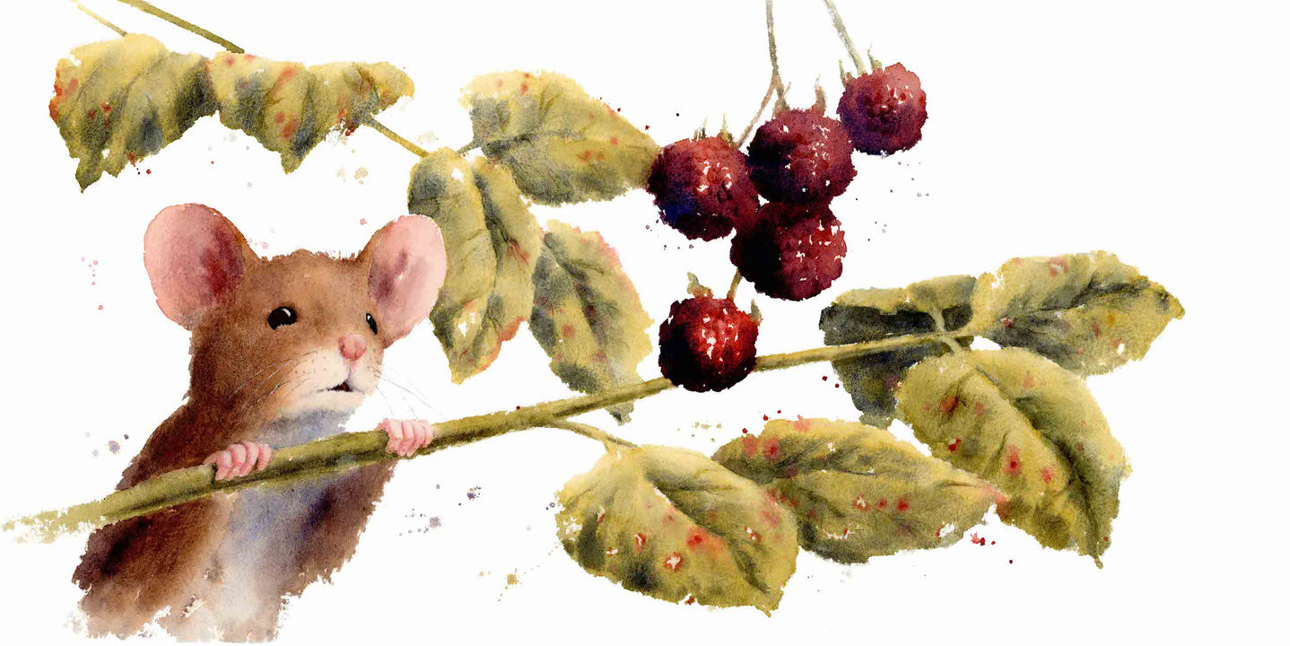 Mouse5.jpg