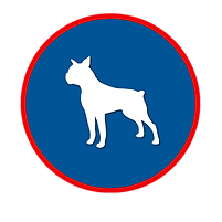 dc.png