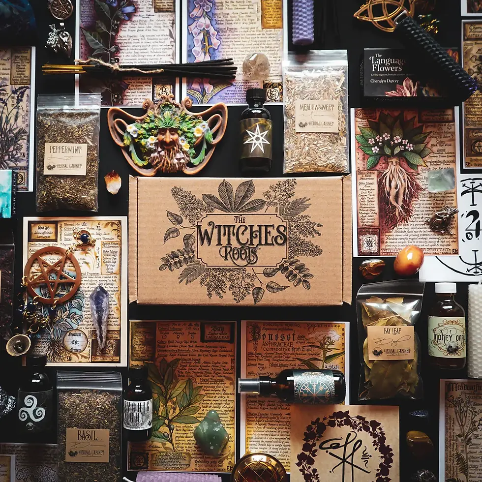 Witches Root Box