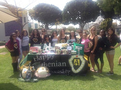 Activities Fair 2013
