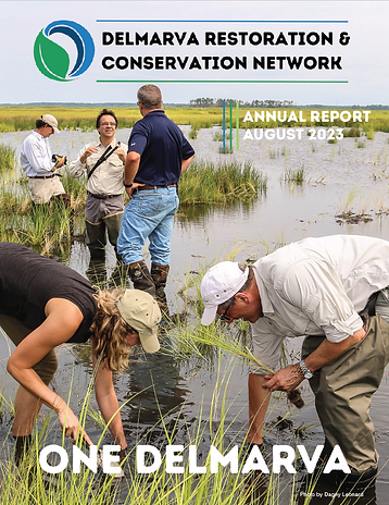 DRCN_AnnualReport_Cover2023.png