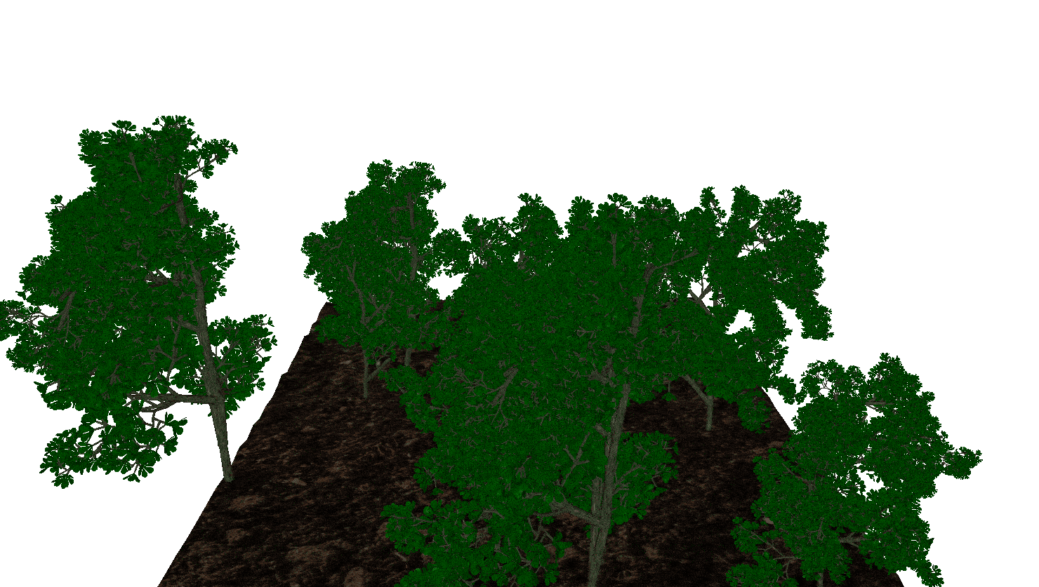 foret_animation_low (1).gif