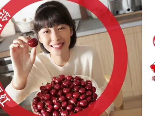 Chile–China Trade at a Turning Point (2024–2025)