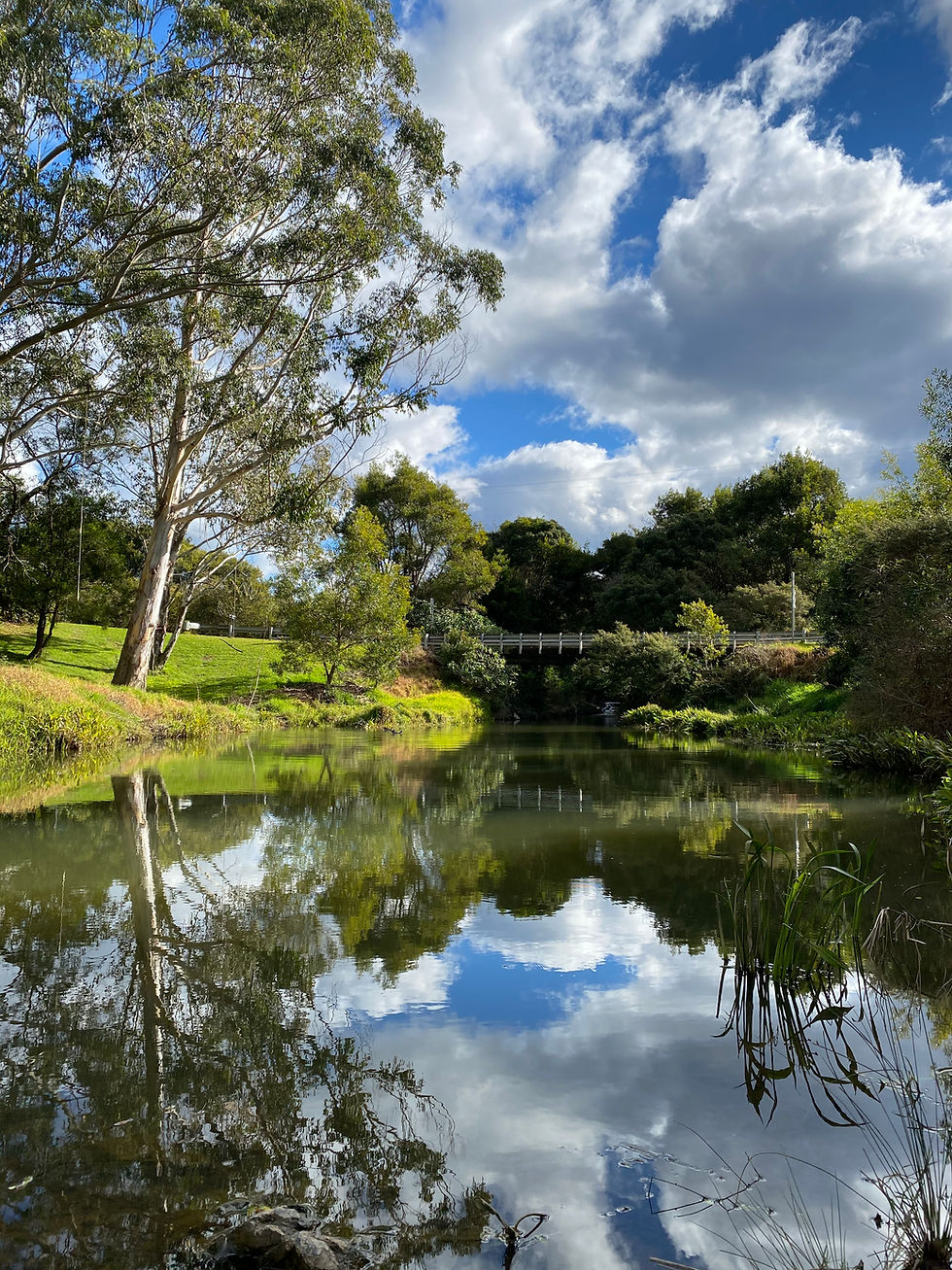 Timm's Park ©Brian Adam.jpeg