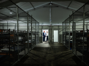 ‘Alligator Alcatraz’: a review of unprecedented developments in U.S. immigration enforcement procedure 
