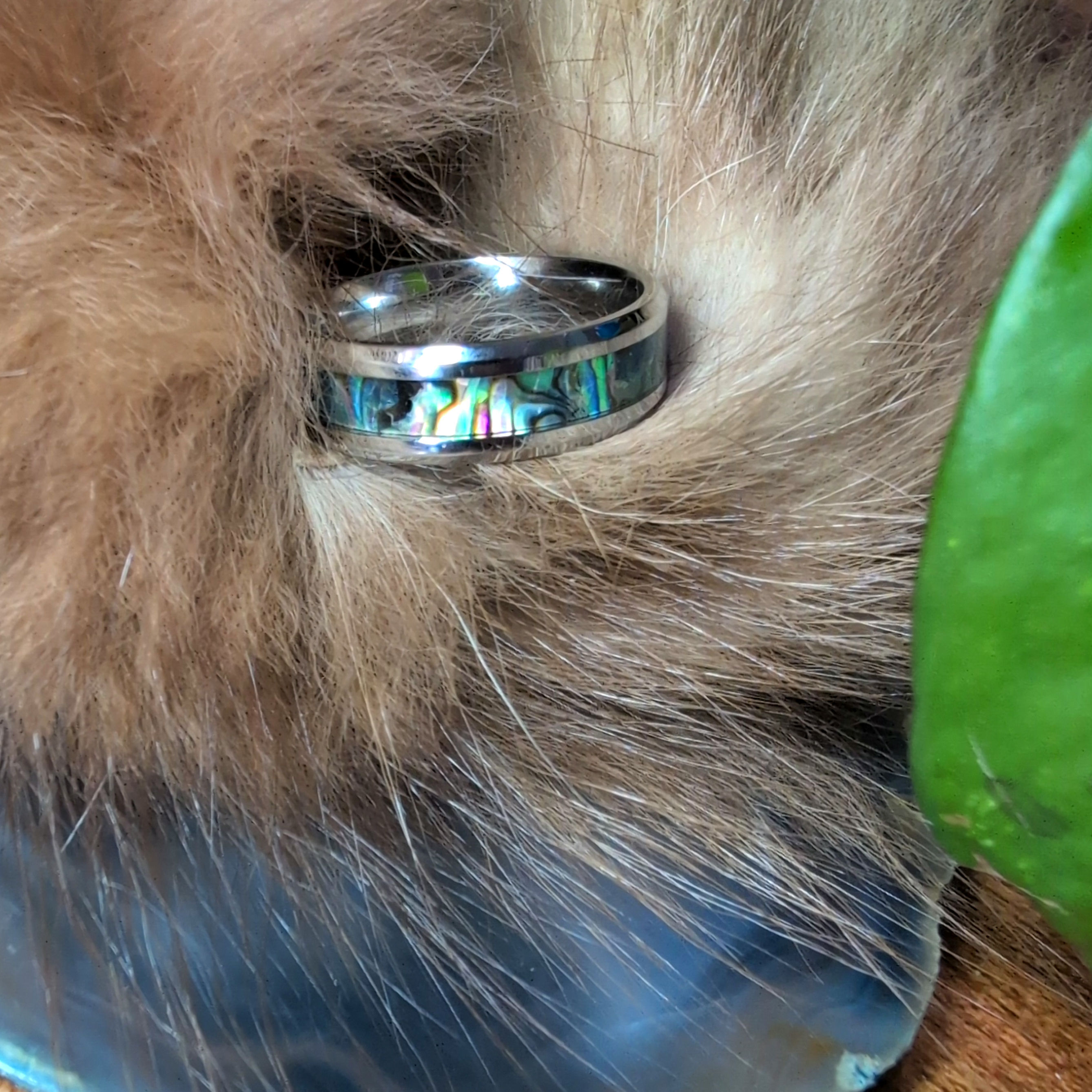 Abalone Wedding Ring 13