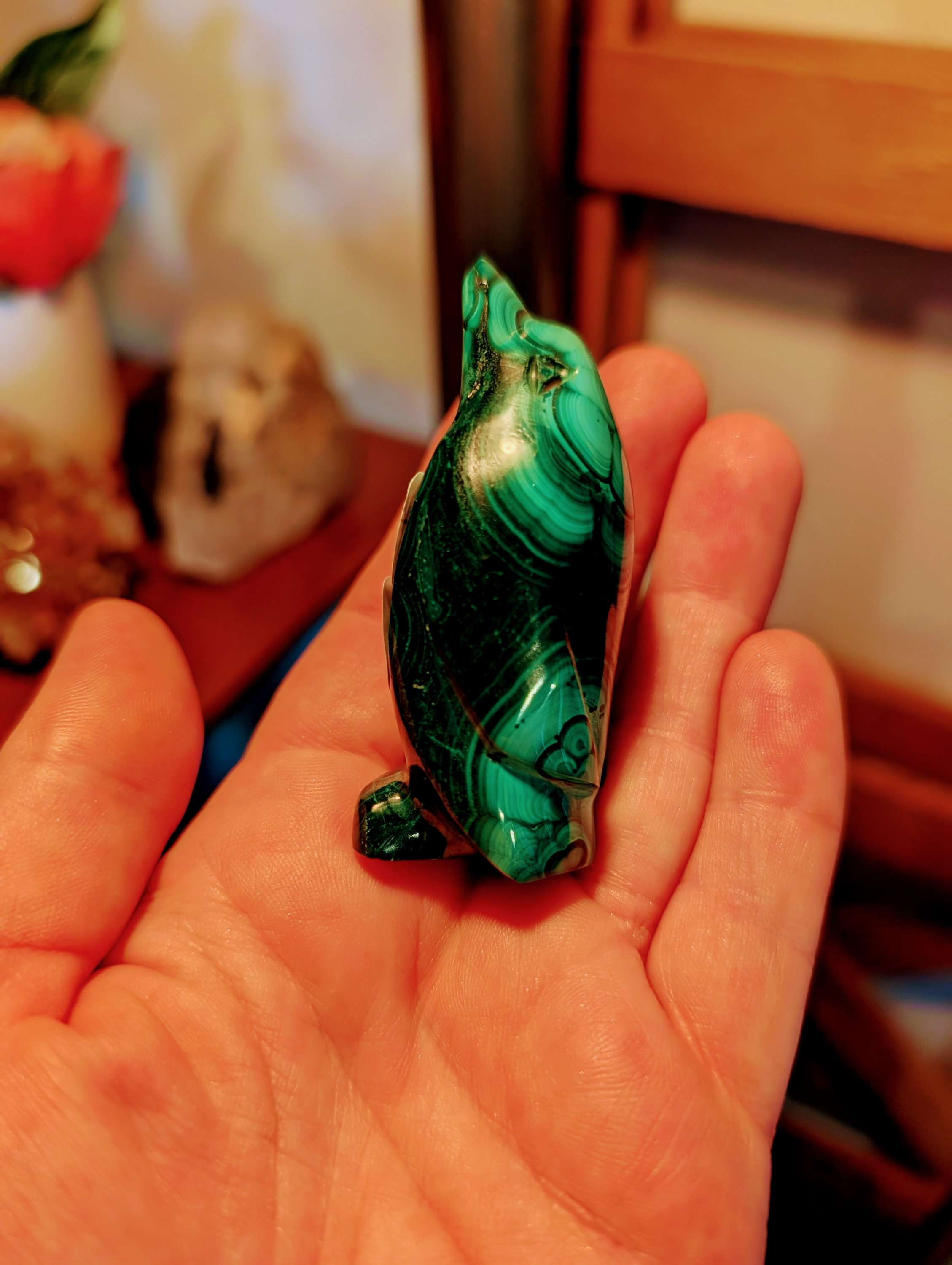Malachite Penguin