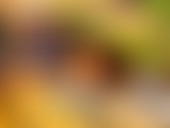 Homöopathische Arzneimittel auf einer Ablage