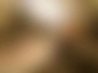 Eine Frau, sitzt im Herbst in einer Waldlichtung auf einem Baumstrunk und liest eine homöopathische Materia medica von S.R. Phatak. Sie ist umhüllt von weichem, goldigem Licht.