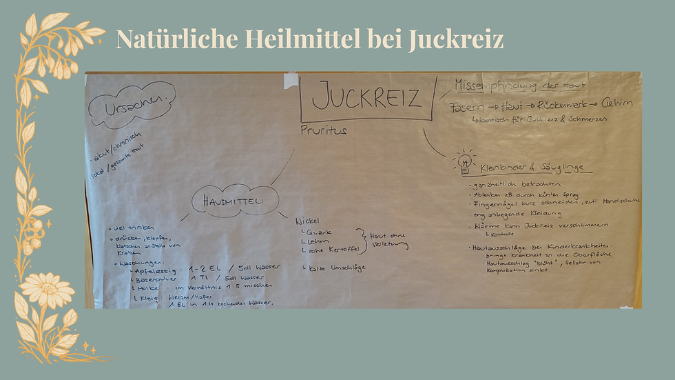 Bild über die natürlichen Heilmittel bei Juckreiz