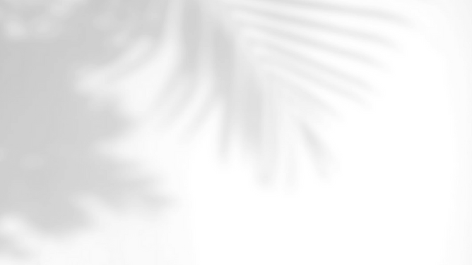 モノクロ シンプル  ビジネス  ZOOM バーチャル背景.png