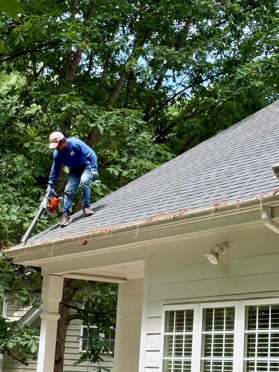 Gutter Cleaning