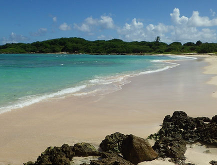 VILLA ET STUDIOS DU LAGON GUADELOUPE