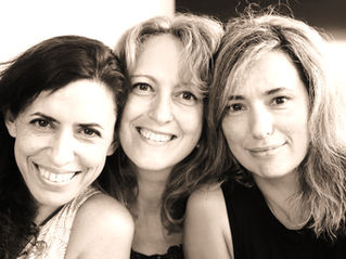 The New Perimenopause book by Dr. Mary Claire Haver, MD just released - here's your preview...