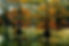 reelfoot3.jpg