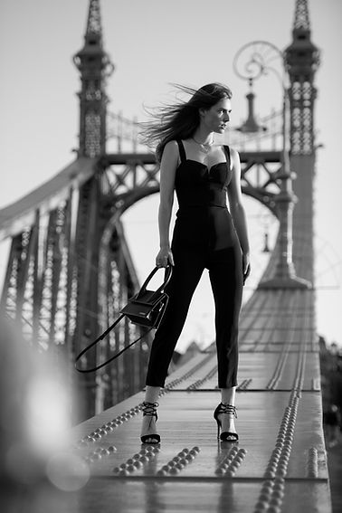 The Bridge