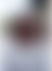 ROÇA OXUM OPARÁ OXÓSSI IBUALAMA - TERREIRO DE PAI RAMINHO - Jardim Brasil