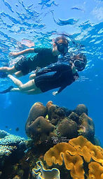 Stunning coral reef definitely worth exploring in the deep blue sea, phu quoc snorkeling with Tomas and Van Anh - Kimi Vietnam Tour 