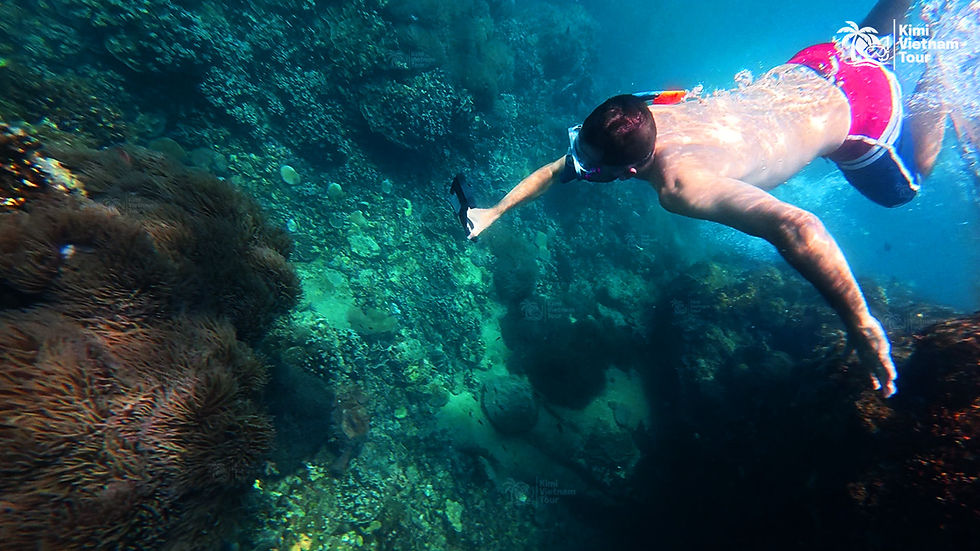 Snorkeling - Buom Reef in Phu Quoc - Kimi Vietnam Tour
