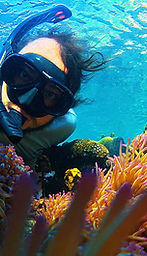 snorkeler among fish and anemones while snorkeling, mong tay reef, south phu quoc.jpg