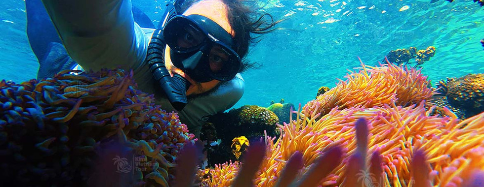 Tomas Komrska beside sea anemones at Mong Tay Island, Phu Quoc