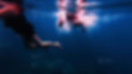 snorkelers at kim quy reef, one of the best reefs in south phu quoc
