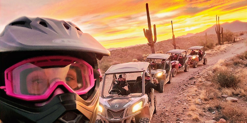 Desert Plants You’ll See on an Off-Road Tour in the Sonoran Desert with: Desert Monster Tours