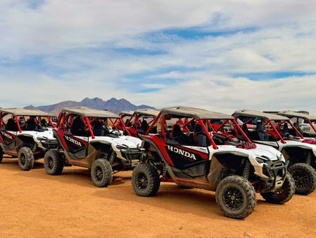 The Vehicle Behind the Adventure: Why We Chose Honda Talons