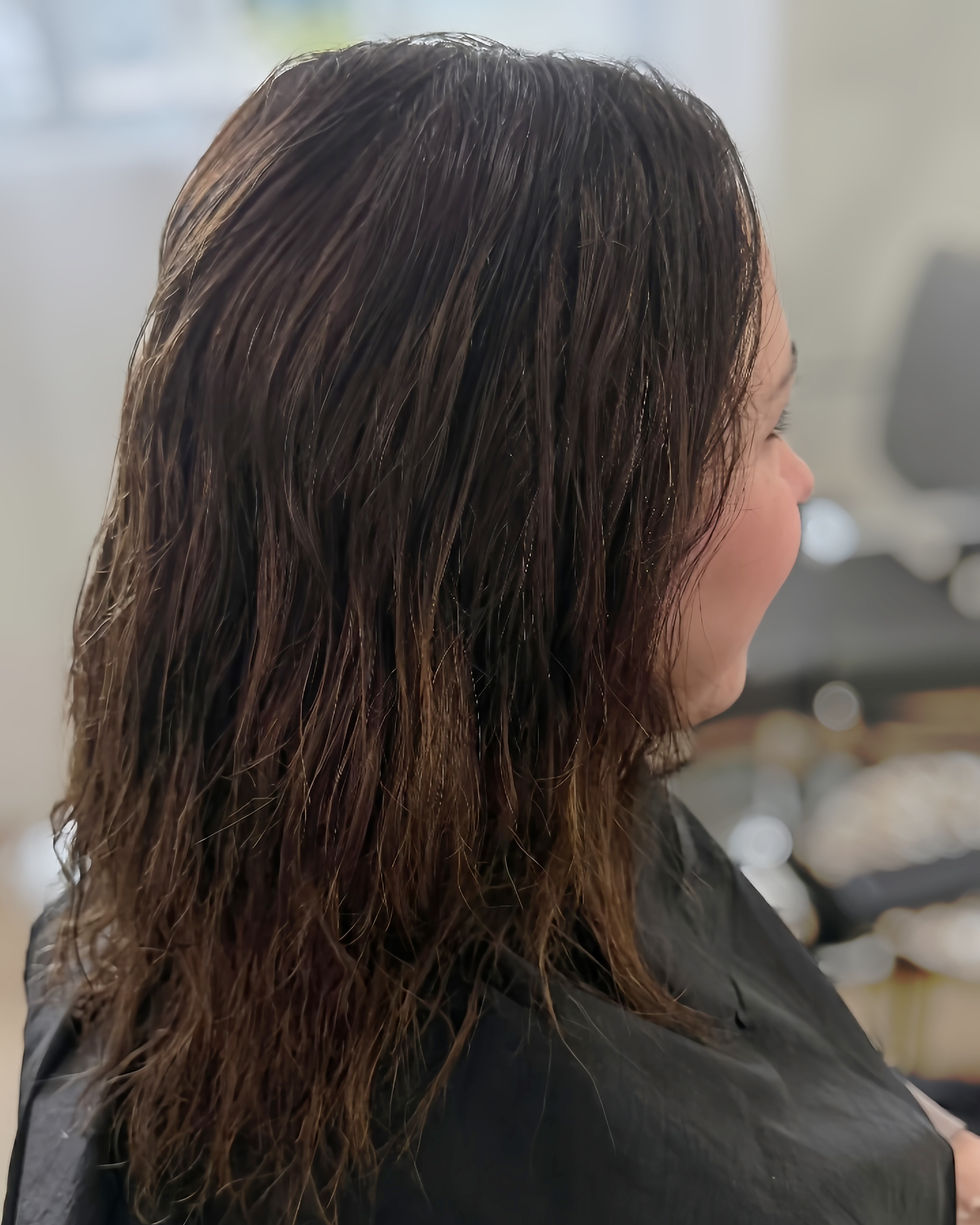 Before gray blending, brunette hair with visible contrast at the roots and darker overall tone.