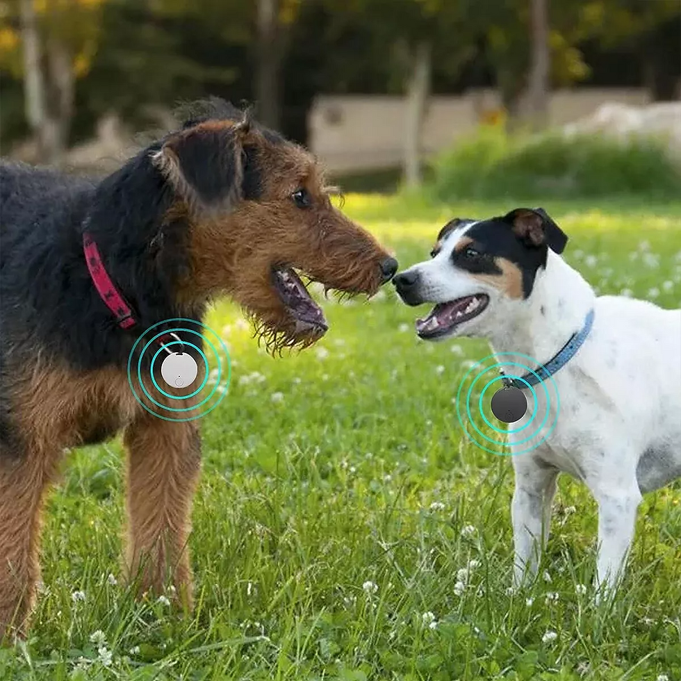 Thumbnail: Bluetooth Mini GPS Tracking Air Key Tag Child Pet Finder Tracker Location Device