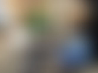 ATENDIMENTO "IN LOCO"