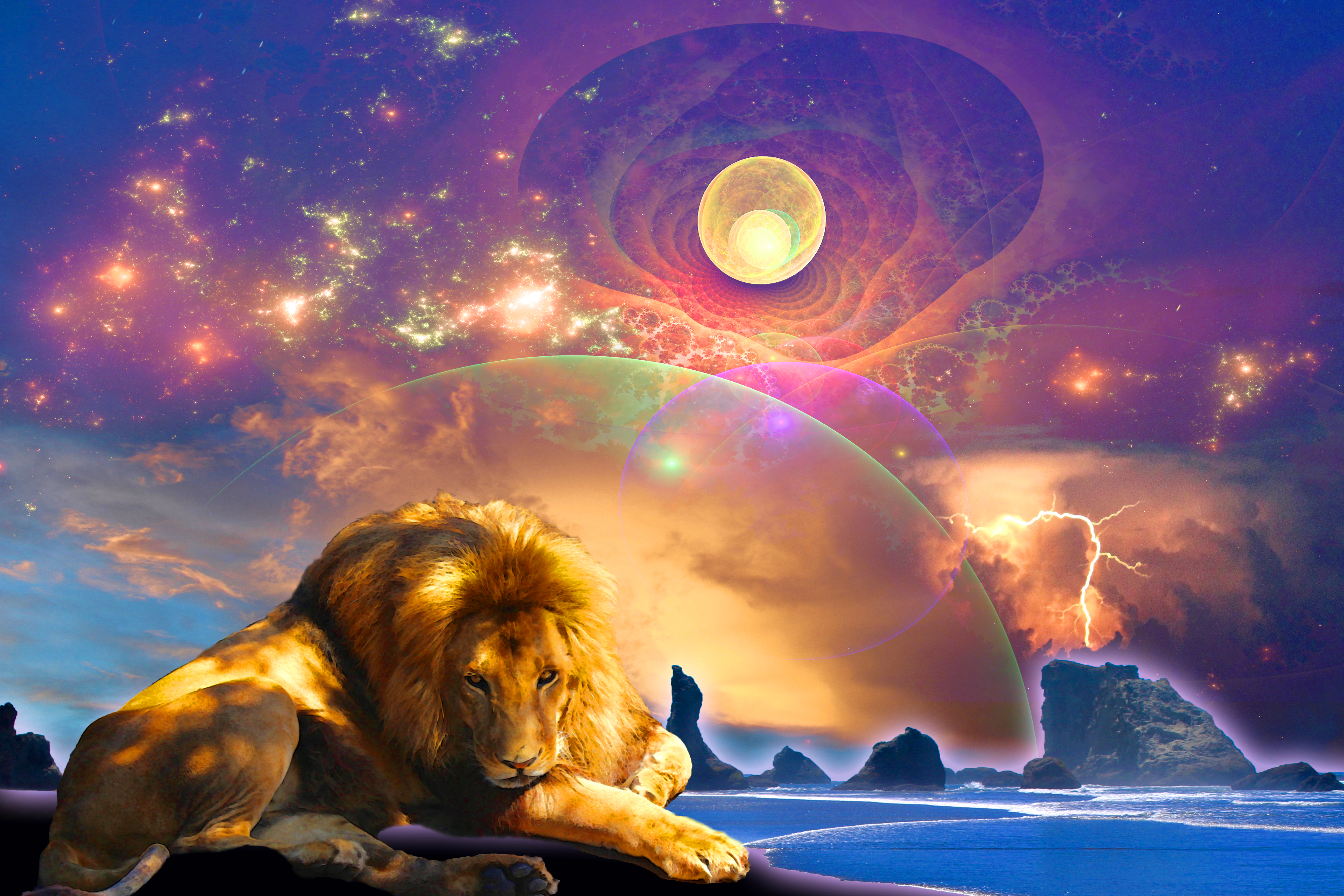 Lion