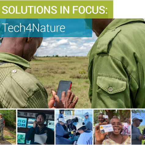 Tech4Nature Mexico, a flagship initiative using technology for nature conservation